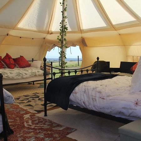 Tal-Y-Fan Farm 6M Stargazer Tent Bridgend  Bagian luar foto