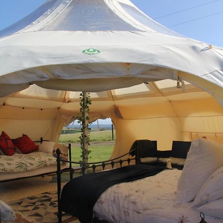 Tal-Y-Fan Farm 6M Stargazer Tent Bridgend  Bagian luar foto